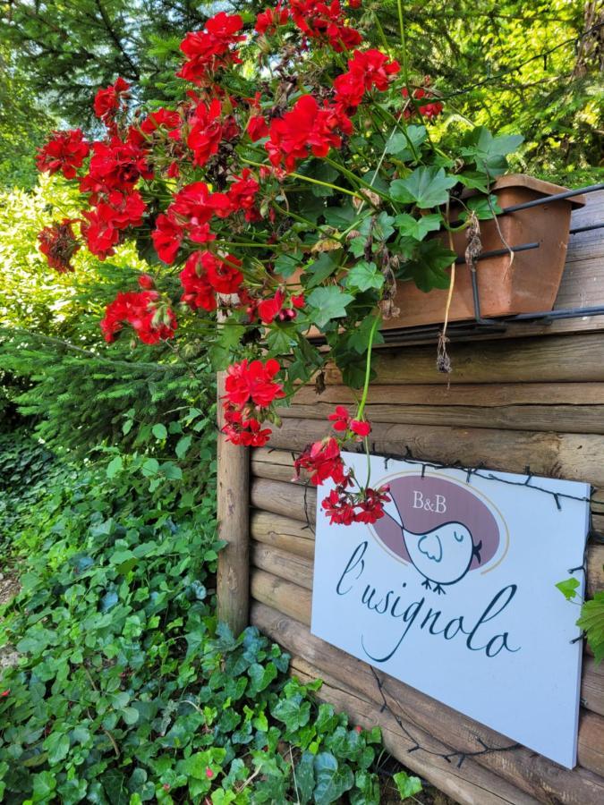 B&B L'Usignolo Асколи-Пичено Экстерьер фото