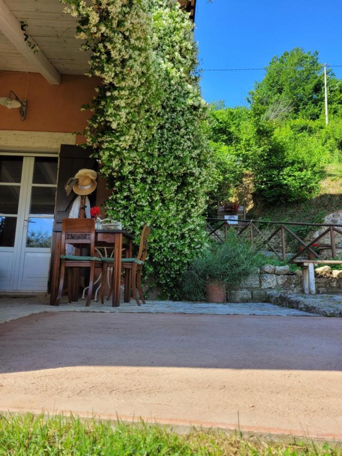 B&B L'Usignolo Асколи-Пичено Экстерьер фото